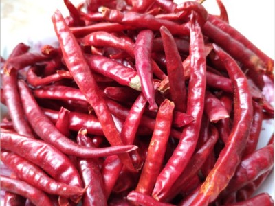 云南丘北椒 干辣椒厂家直发 20kg大包装 中辣特香干辣椒 批发商用图5