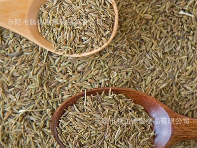 产地货源 新疆孜然25kg大包装商用 孜然调味料厂家批发图2