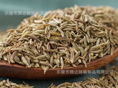 产地货源 新疆孜然25kg大包装商用 孜然调味料厂家批发图3
