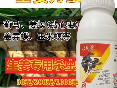 30G生姜杀虫剂大姜杀虫药姜螟钻心虫姜弄蝶生姜虫防伪图2