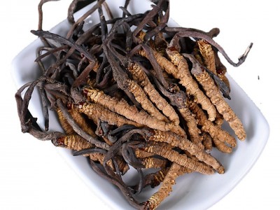 西藏那曲冬虫夏草 足干无断草小干草 足干小草100条/盒一手价格图5