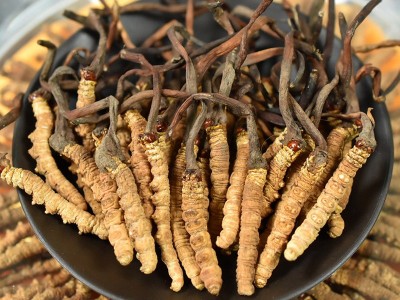 西藏那曲冬虫夏草 足干无断草小干草 足干小草100条/盒一手价格图4