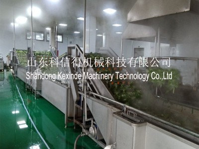 加工定制 菠菜清洗加工设备 蔬菜气泡喷淋清洗 全自动菠菜清洗机图2