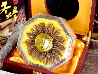 西藏那曲网红小虫草 西藏冬虫夏草100条装一盒 产地直供 量大价优图3
