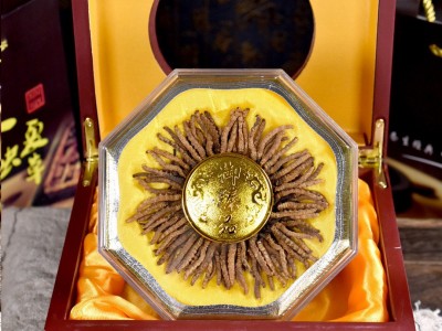 西藏那曲网红小虫草 西藏冬虫夏草100条装一盒 产地直供 量大价优图4