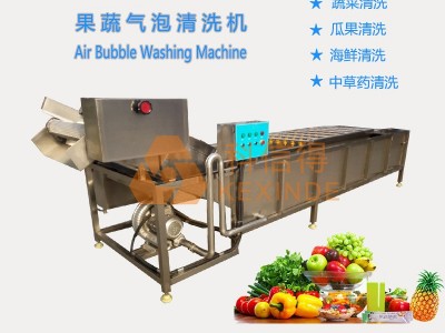 番茄果蔬清洗机 中央厨房蔬菜清洗加工流水线 净菜清洗设备图3