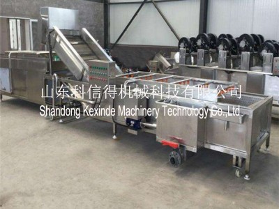 科信得专业生产 豆芽清洗处理设备 果蔬喷淋清洗 豆芽清洗机图3