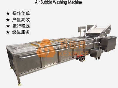 科信得专业生产 豆芽清洗处理设备 果蔬喷淋清洗 豆芽清洗机图5