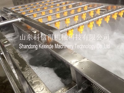 科信得专业生产 豆芽清洗处理设备 果蔬喷淋清洗 豆芽清洗机图2