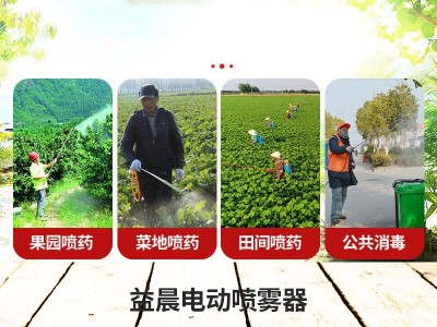 电动喷雾器农用电动高压小型背负式充电打药机农药喷洒锂电池喷壶图3