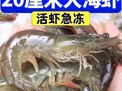 大虾国产对虾基围虾明虾冰冻青虾鲜活白虾海虾冷链运输图2
