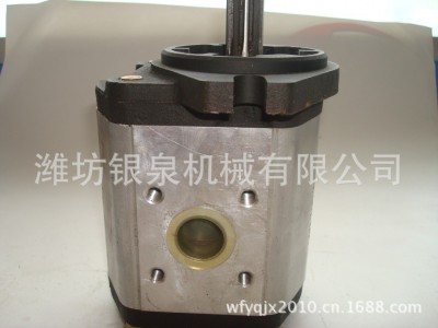大量供应拖拉机配件——TG1454.581A.1 齿轮泵图4