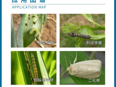 斯品诺 34%乙多甲氧虫二化螟虫稻纵卷叶螟甜菜夜蛾杀虫剂陶氏益农图6