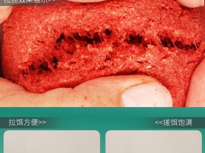 钓鱼王今晚吃鱼饵料野钓一包搞定冬季通杀套餐鲫鱼水库打窝料鱼食图3