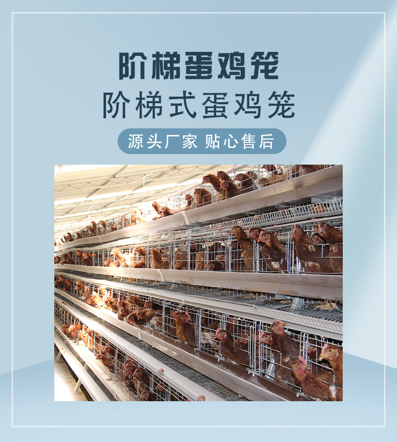详情-副本_01.jpg