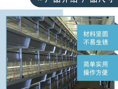 河南厂家批发养殖场设备 层叠肉鸡笼 三层四层层叠肉鸡笼图5
