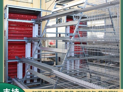 大型阶梯式蛋鸡笼养殖场三层四层养鸡设备热镀锌蛋鸡笼具加捡蛋机图3