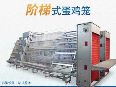 大型阶梯式蛋鸡笼养殖场三层四层养鸡设备热镀锌蛋鸡笼具加捡蛋机图4