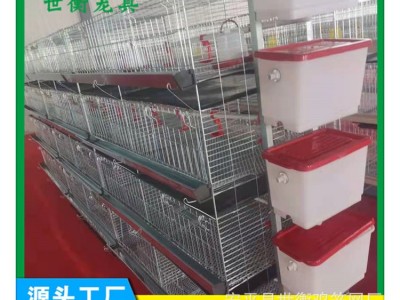 厂家供应育雏鸡笼四层一体 小鸡笼全自动养殖设备外贸采购图2
