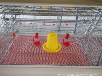 厂家供应育雏鸡笼四层一体 小鸡笼全自动养殖设备外贸采购图5