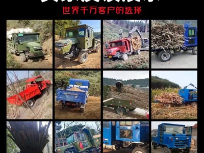 四不像自卸农用车四驱柴油工程运输车四轮翻斗拖拉机载重王爬山虎图3