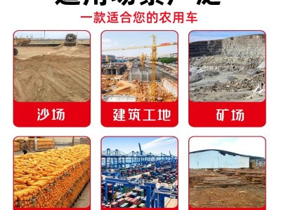四不像运输车 四驱液压自卸爬山王 载重拉货自卸农用四不像农用车图4