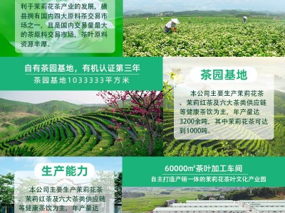 广西六堡茶10年陈香金花六堡黑茶厂家直销散茶500g图3