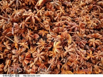 厂家供应 质量保证 八角大料大茴香图3