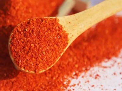 厂家货源辣椒粉烧烤火锅干碟蘸料调味辣椒粉现货图1
