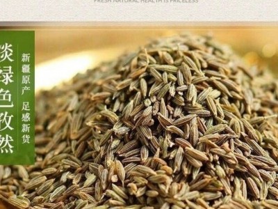 孜然粉孜然粒香辛料纯正新疆孜然粉碎口商用烤肉烧烤卤肉炸串图3