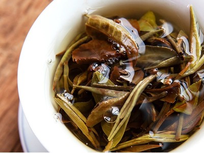 云南茶叶白茶普洱茶老白茶357g香气浓郁 回甘甜 推荐款白茶厂家图5