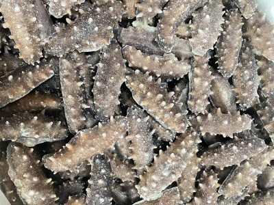 【海参工厂直发】大连辽参小头即食海参20-30头 辽刺参即食海参图3