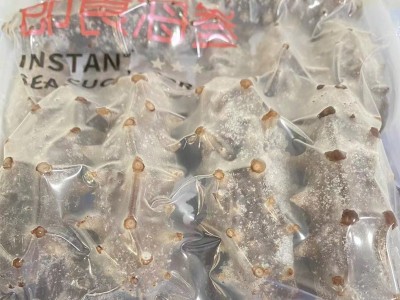 【海参工厂直发】大连辽参小头即食海参20-30头 辽刺参即食海参图2