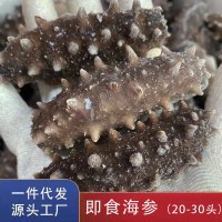 【海参工厂直发】大连辽参小头即食海参20-30头 辽刺参即食海参