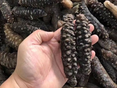 工厂货源 土耳其即食海参 希腊米刺参非大连即食海参 米刺参500克图2