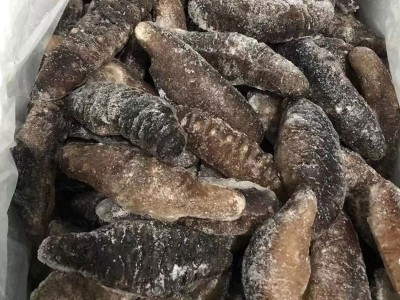 工厂货源 土耳其即食海参 希腊米刺参非大连即食海参 米刺参500克图4