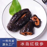 一手货源 冰岛俄罗斯海参非红极参干货 冰岛红极参即食500g可代发