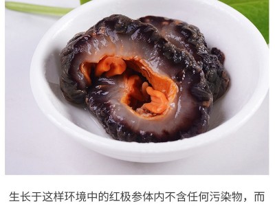 一手货源 冰岛俄罗斯海参非红极参干货 冰岛红极参即食500g可代发图4