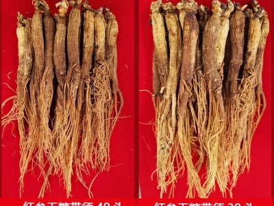 福贞堂参业厂家直销长白山人参东北特产源产地资质齐全无糖红参图3