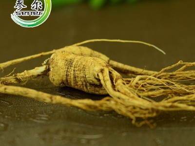 产地直销吉林长白山人参 东北林下山参 野移山参 干参散货实惠图3