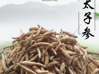 散装太子参孩儿参500g 无须太子参批发 产地货源供应无杂太子参图2