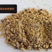 批发香辣孜然味烧烤料蘸料调味品烤肉撒料