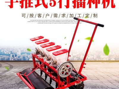 厂家定做手推式5行青菜播种机 小型农用种蒜机栽种机萝卜点播机图2