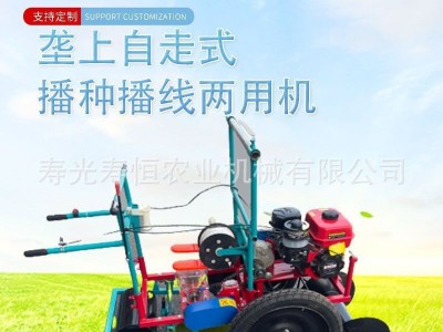 新型胡萝卜播种机 白菜 娃娃菜 白萝卜起垄施肥蔬菜播种机图5