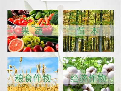 正品磷酸二氢钾叶面肥料纯度高磷钾化肥果树蔬菜溶解好易吸收增产图4