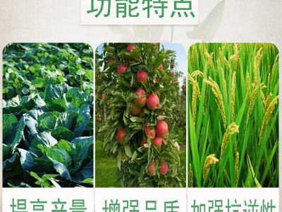 正品磷酸二氢钾叶面肥料纯度高磷钾化肥果树蔬菜溶解好易吸收增产图3