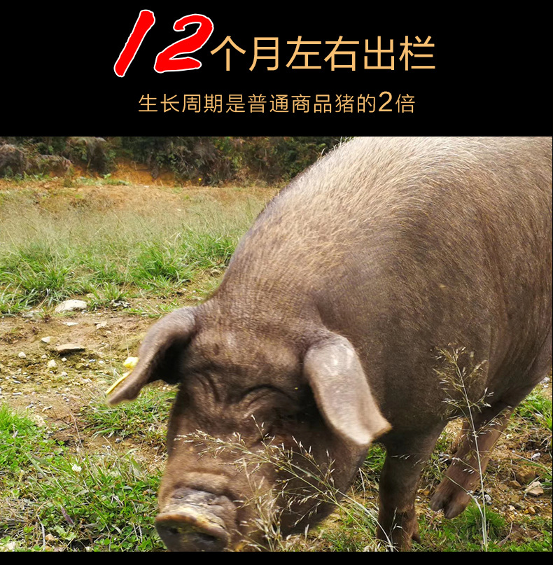 腊肉详情页-后腿肉_10.jpg