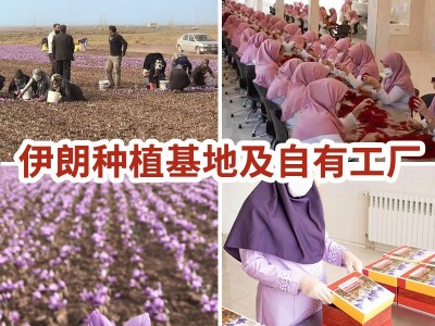 伊朗藏红花批发 瓶装西红花礼盒装 代发藏红花一件代发 分销藏红图2