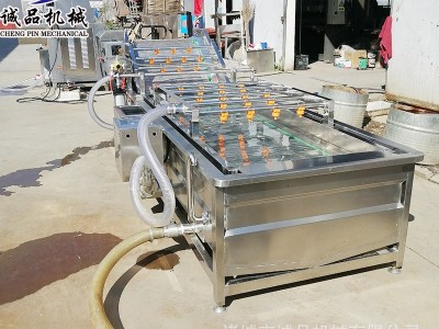 全自动果蔬气泡清洗机 商用洗菜洗水果设备 大型车厘子樱珠清洗机图3