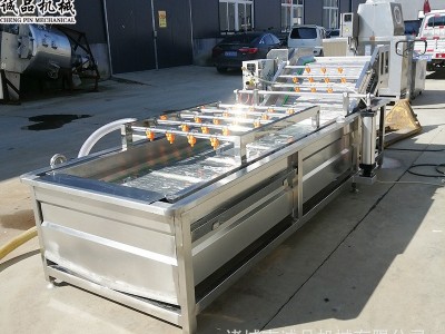 全自动果蔬气泡清洗机 商用洗菜洗水果设备 大型车厘子樱珠清洗机图2
